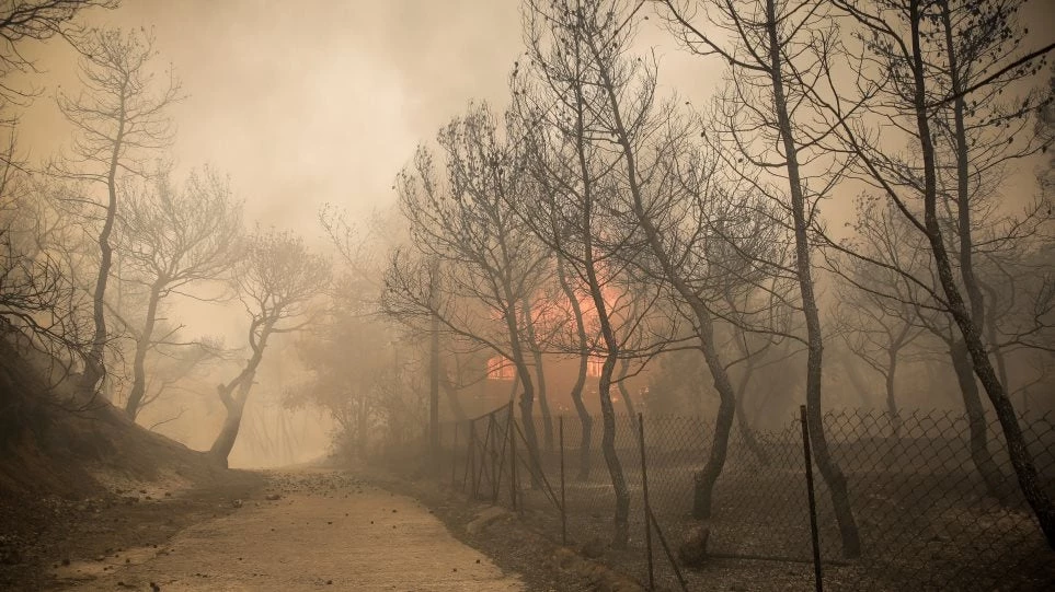 Φωτιά στην Κινέτα: Εγκλωβίστηκε τετραμελής οικογένεια στο σπίτι της σε φλεγόμενο οικισμό